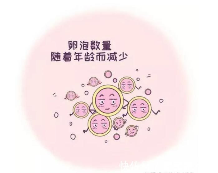 不孕不育检查