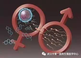 不孕不育