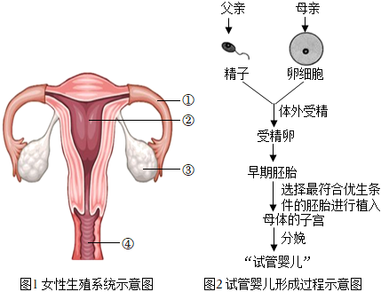 武汉不孕不育
