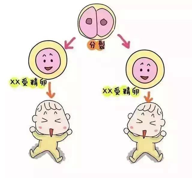 不孕不育