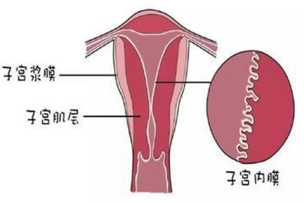不孕症