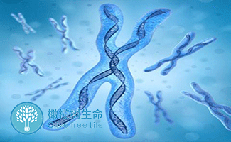 不孕检查