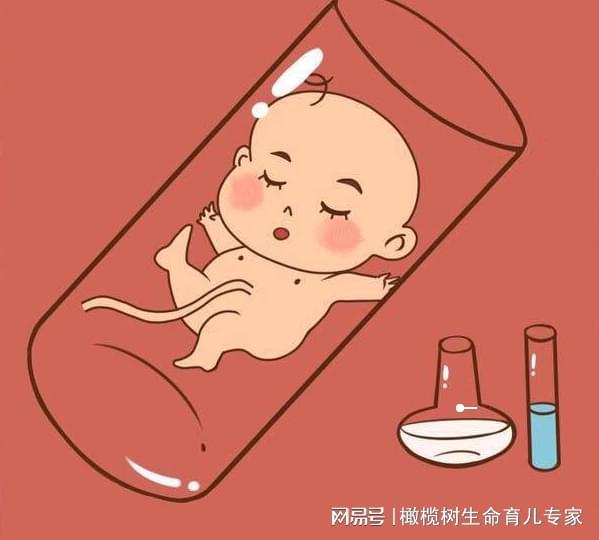 55岁做试管成功率