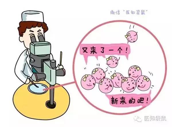 60岁绝经还能怀孕吗