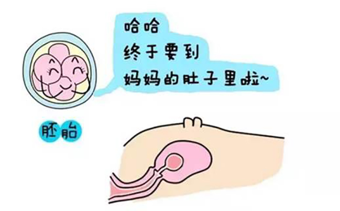 60岁绝经