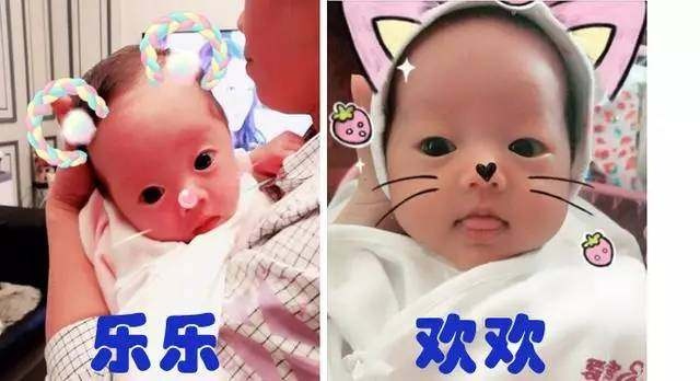 取卵数量