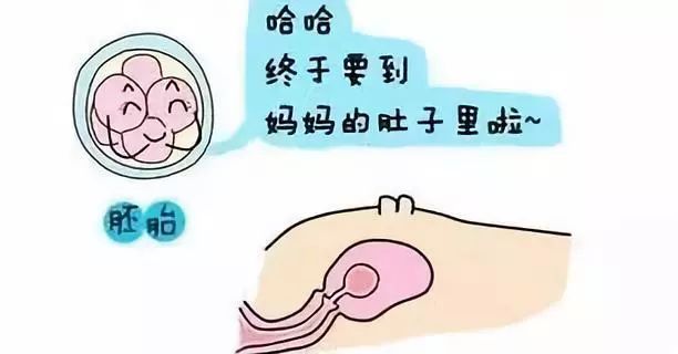 高龄试管婴儿