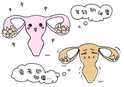 试管婴儿助孕