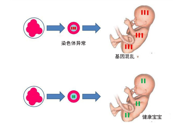 55岁高龄试管婴儿